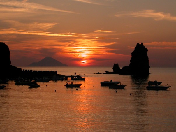 1909448_528753955797_2631_n